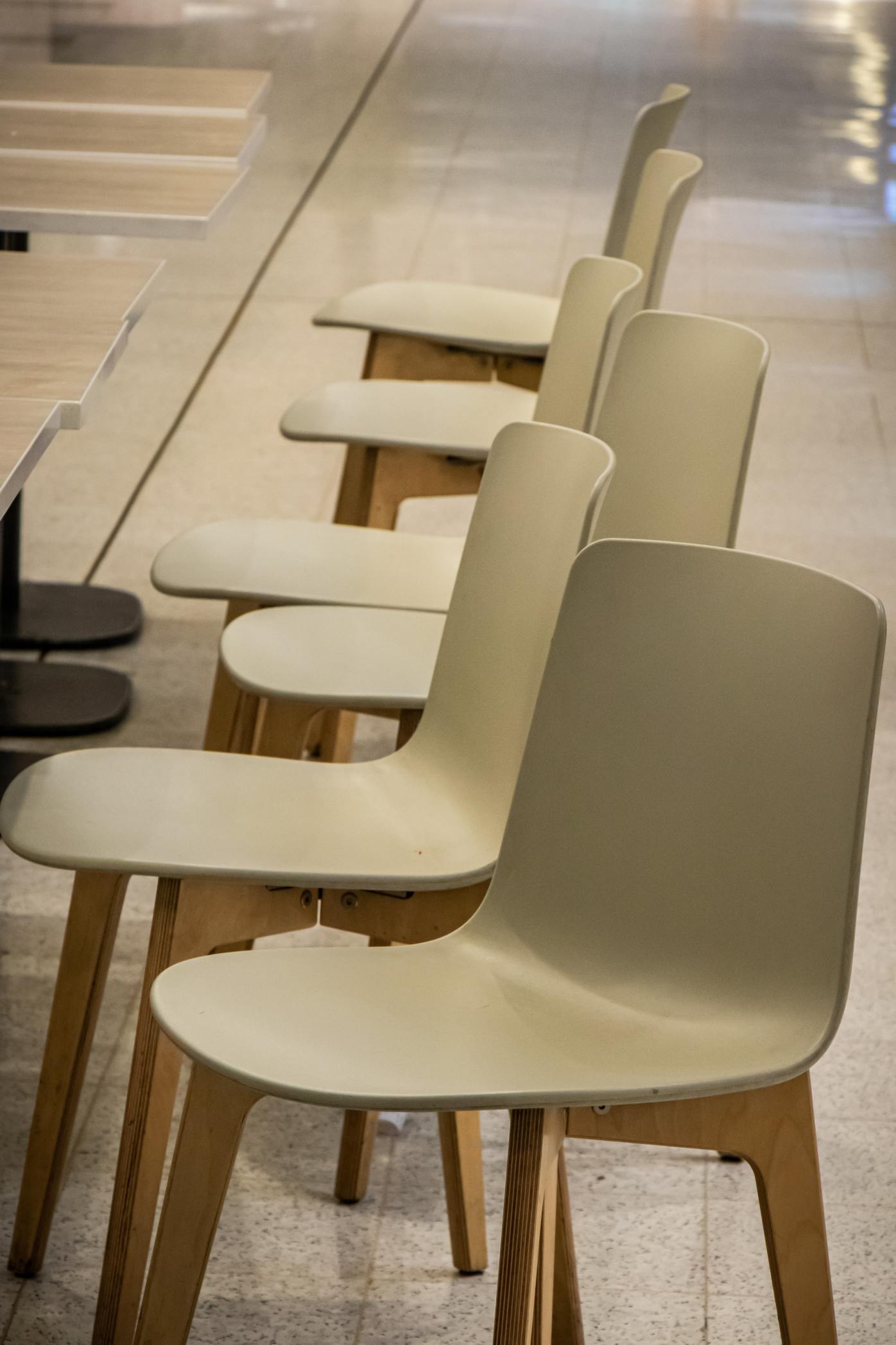 Row of molded chairs with wood bases in a furniture showroom