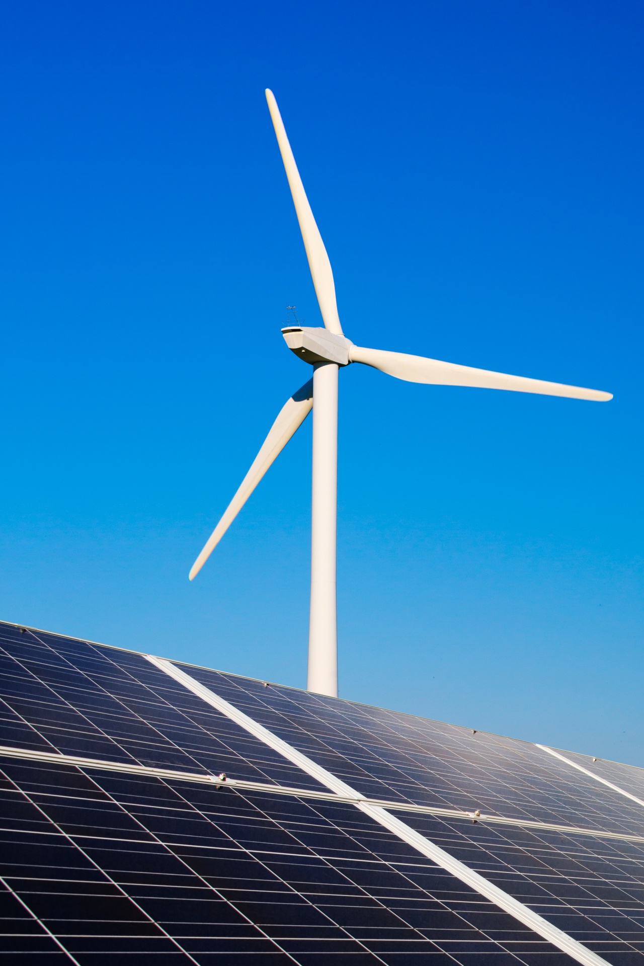 Wind turbine rising behind an array of solar panels under a blue sky